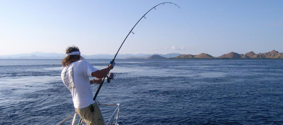 Quelle canne choisir?? : Pêche en surf casting • Forums Côté Pêche