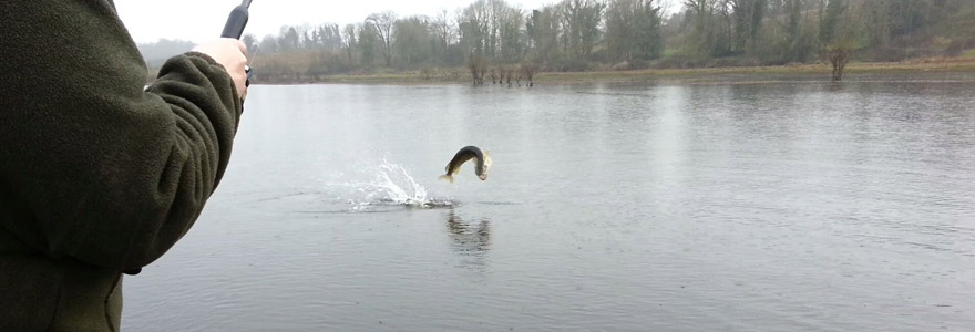 pêche aux leurres