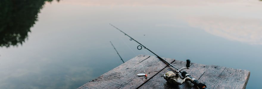 Pêche au gros